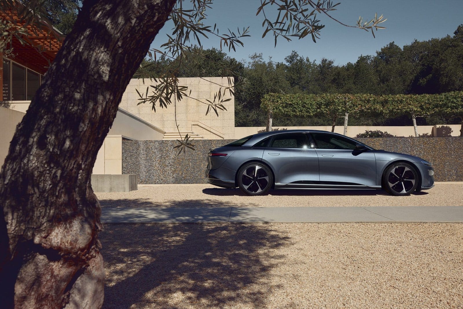 03 pure passenger side profile
