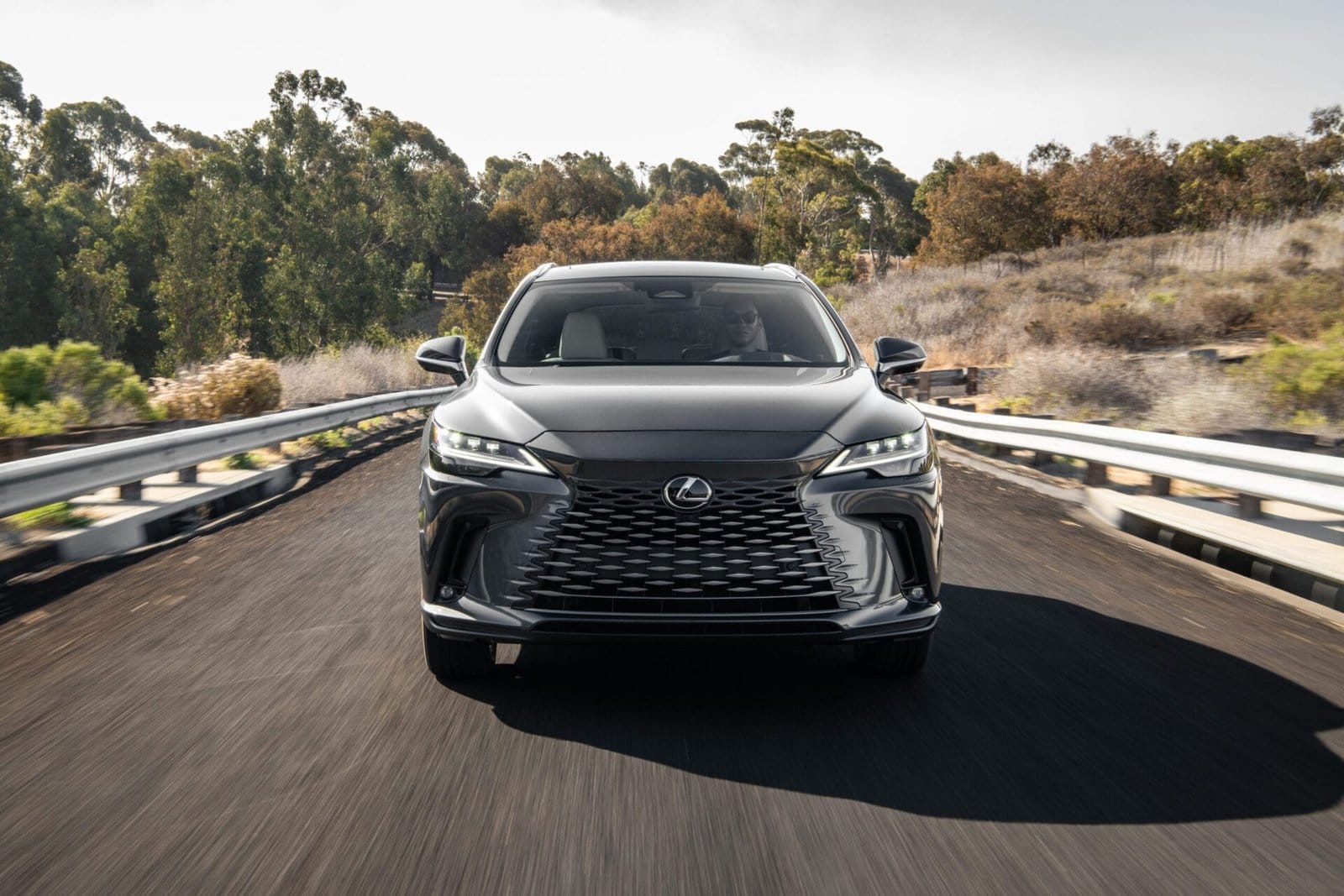 2023 rx 450h luxury phev cloudburst gray44 scaled