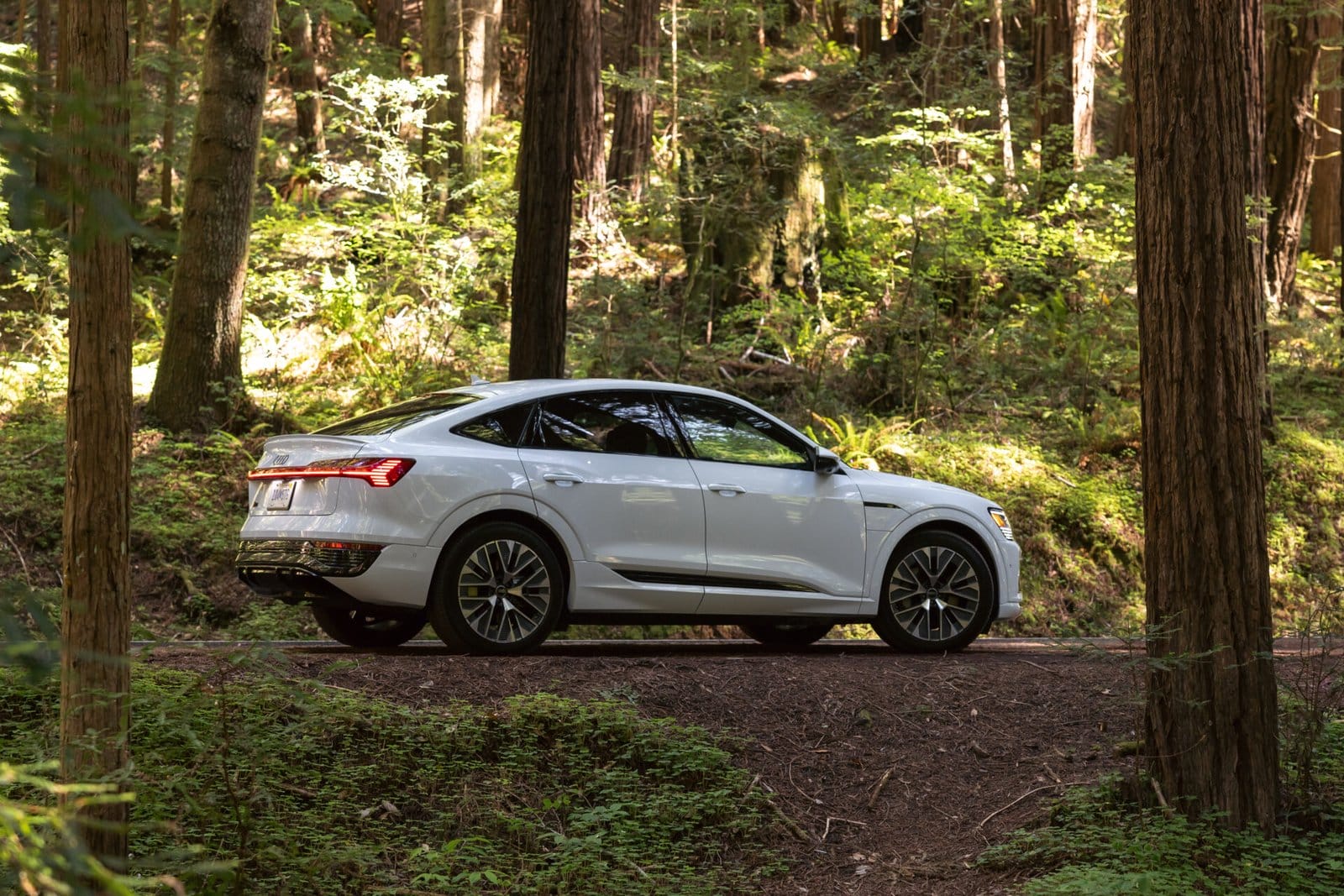 Audi Q8 e tron 2024 Forest Drive Electric Vehicle