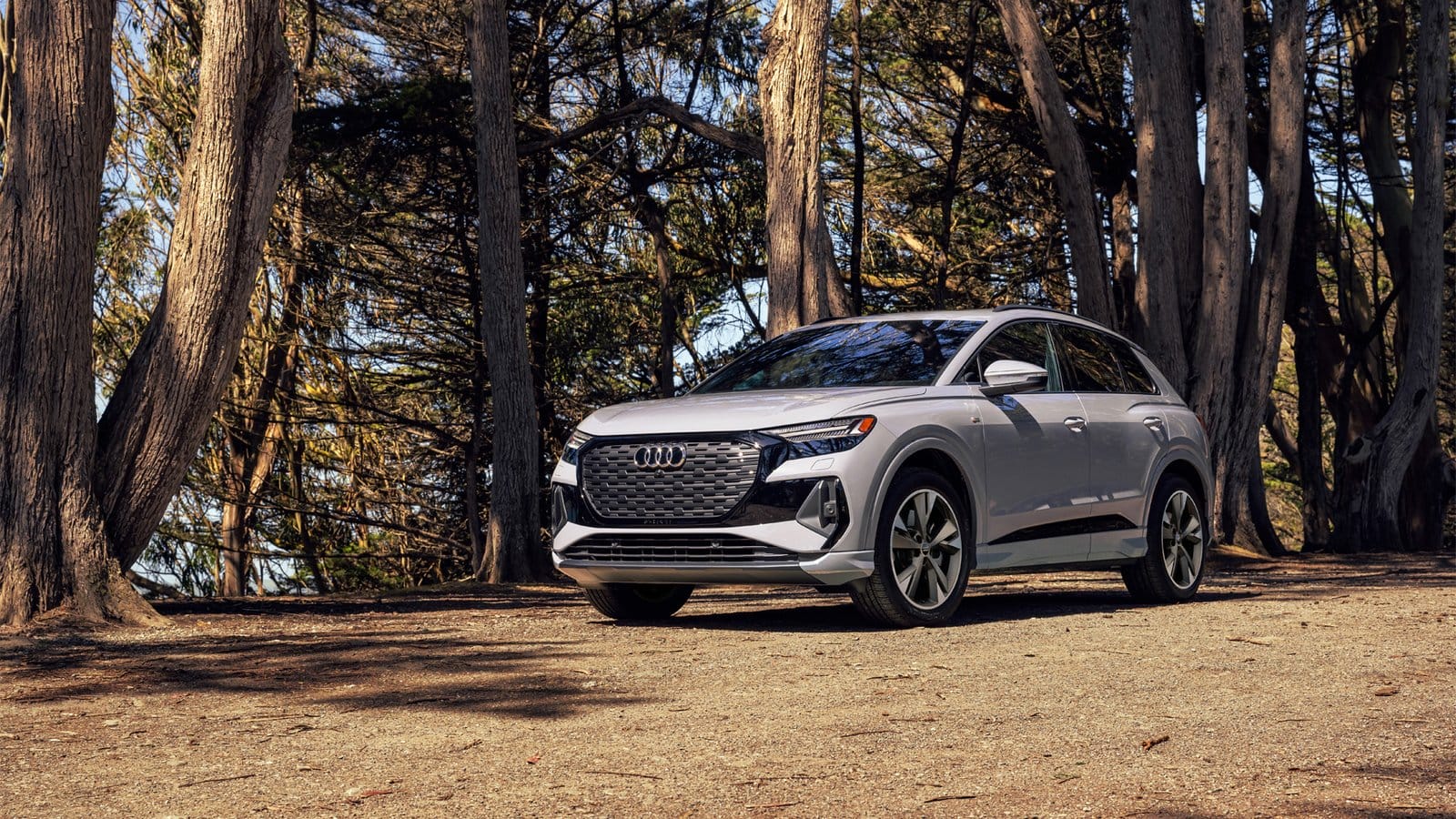 audi q4 etron electric vehicle forest