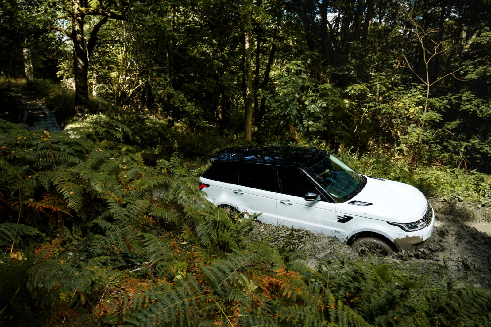 land rover range rover sport PHEV off road